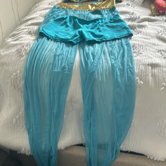 Adult Aladdin jasmine costume - Picture 6 of 6